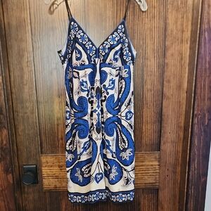 Stylish Blue and White Floral Mini Dress